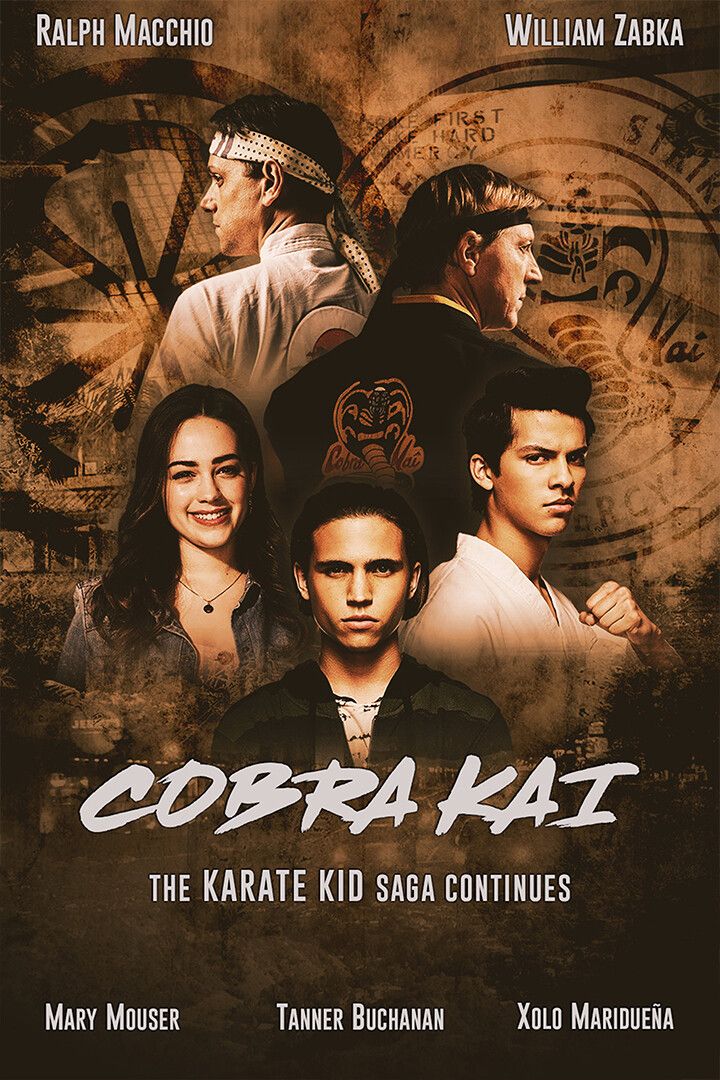 Cobra Kai Season 1 2 3 Karate Fight Tv Show Jigsaw Puzzle