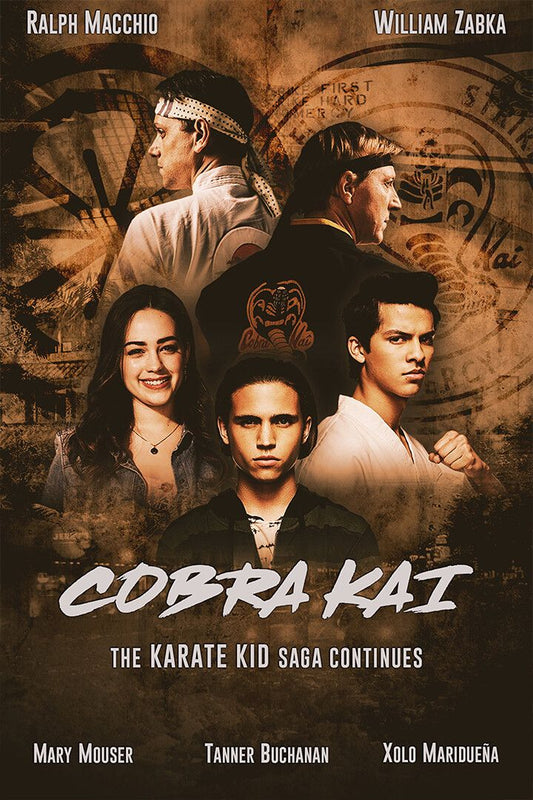 Cobra Kai Season 1 2 3 Karate Fight Tv Show Jigsaw Puzzle