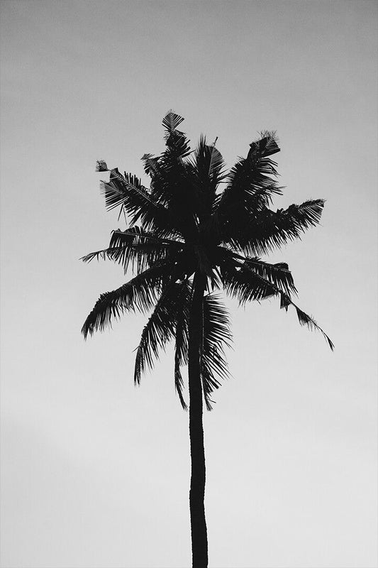 Coconut Tree Under Gray Sky Art Wall Decor Jigsaw Puzzle