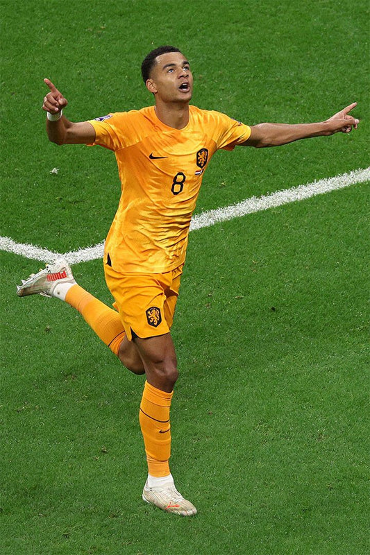 Cody Gakpo Goal Celebration Netherlands World Cup Jigsaw Puzzle