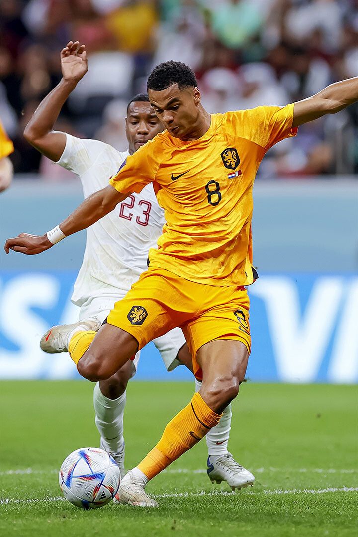 Cody Gakpo Netherlands National Team World Cup Jigsaw Puzzle