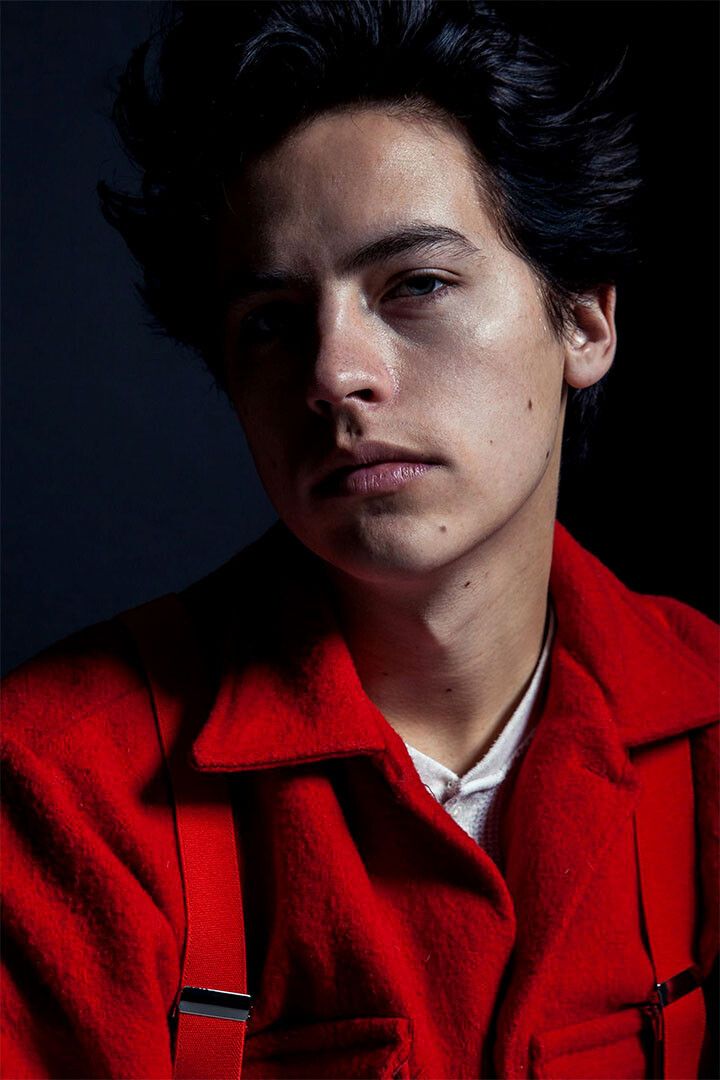 Cole Sprouse Artist Actor Actress Painting Print Jigsaw Puzzle