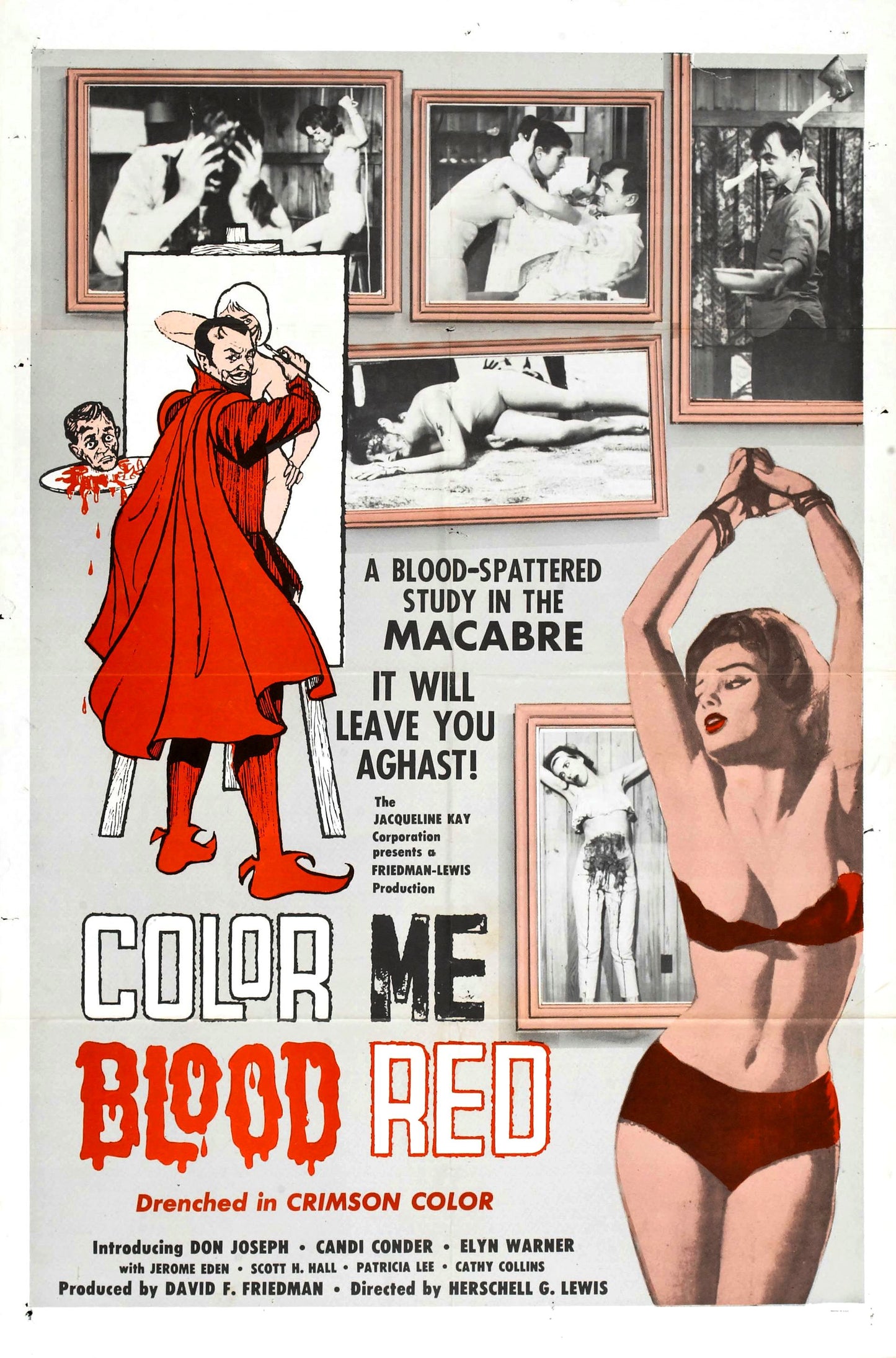 Color Me Blood Red 01 Movie Magnet