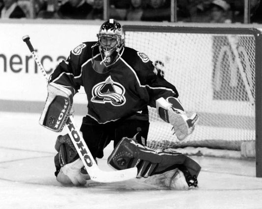 Colorado Avalanche Patrick Roy Glossy Hockey Photo Print Poster Hof 2006