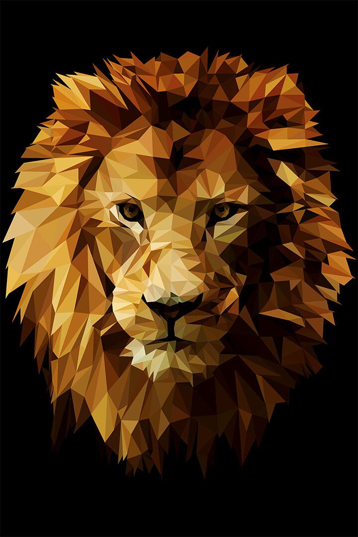 Colored Lion Animal Dangerous Nature Great Print Keychain