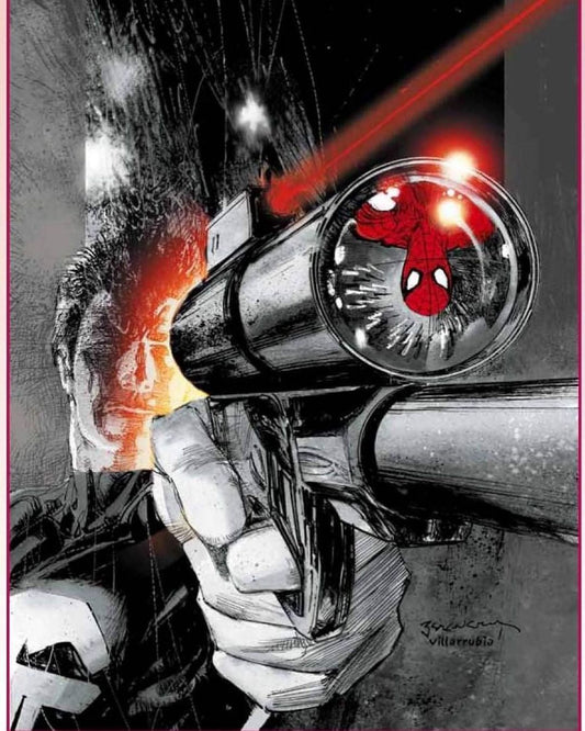 Comic Superhero Battle Spider Man Punisher Print Poster