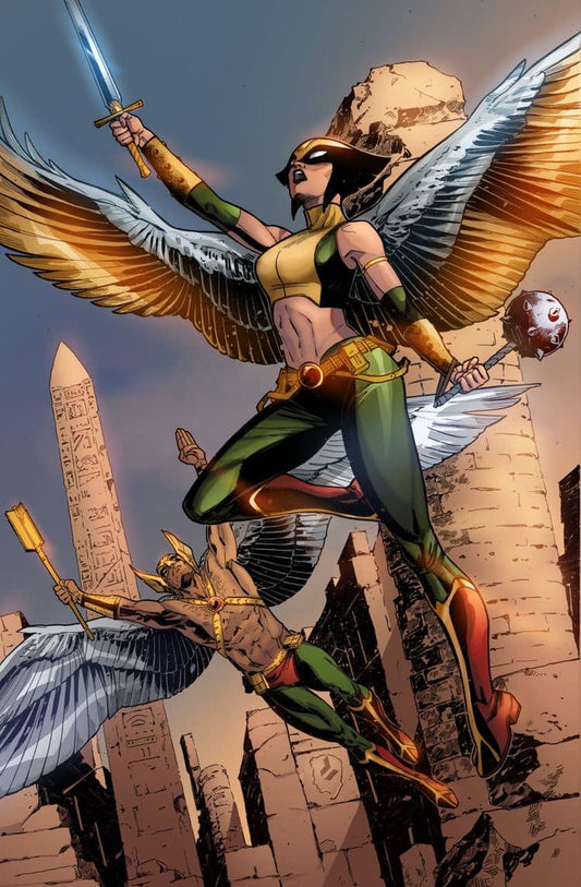 Comics Superheroes Hawkman Hawkgirl Action Print Poster