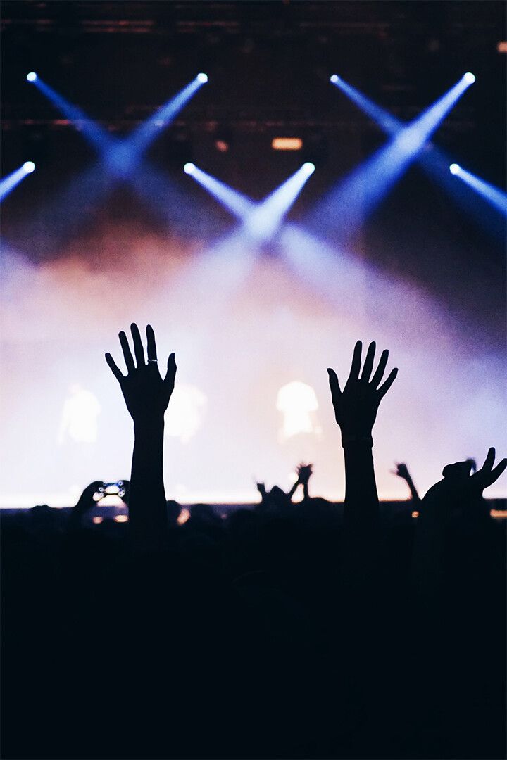 Concert Crowd And Colored Lights Print Canvas Jigsaw Puzzle