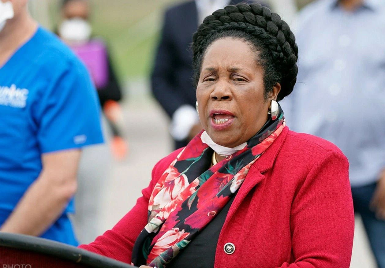 Congress Sheila Jackson Lee House Representative Photo Picture Poster Print