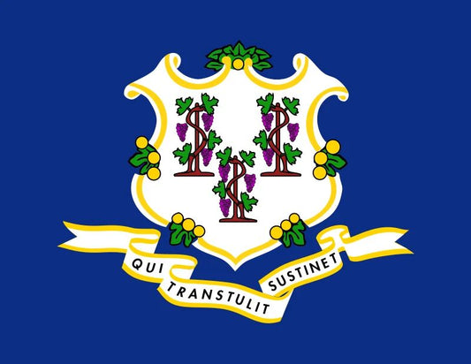 Connecticut State Flag New England Hartford Usa Poster Picture Photo Print