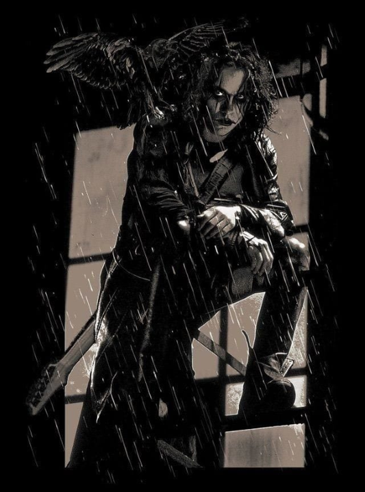 Crow Rainy Window Stance 1674 Print Poster