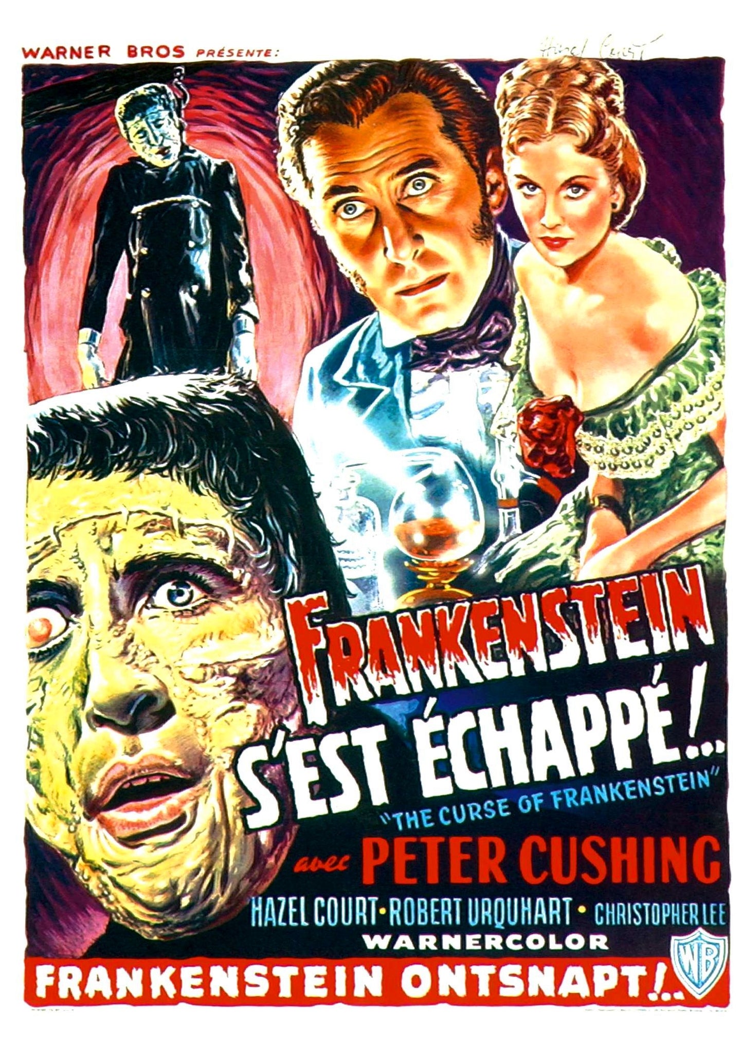 Curse Of Frankenstein 04 Movie Magnet