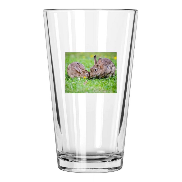 Cute Bunny Rabbits Photo Wall Art Pint Beer Drinking Glass