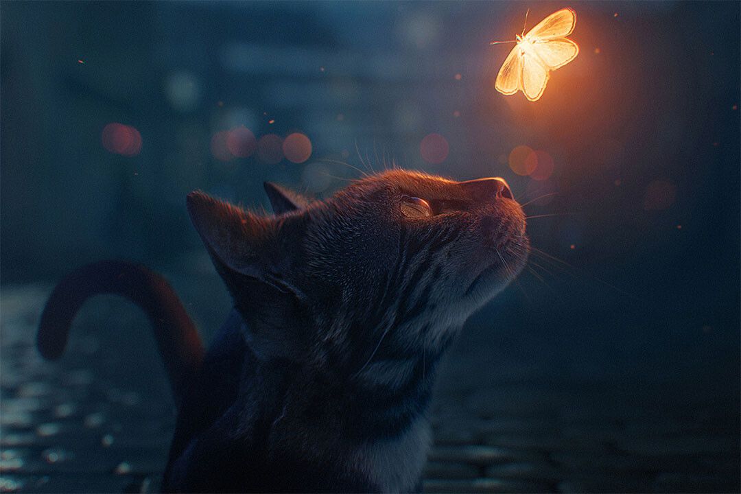 Cute Cat Luminous Butterfly Funny Animals Jigsaw Puzzle
