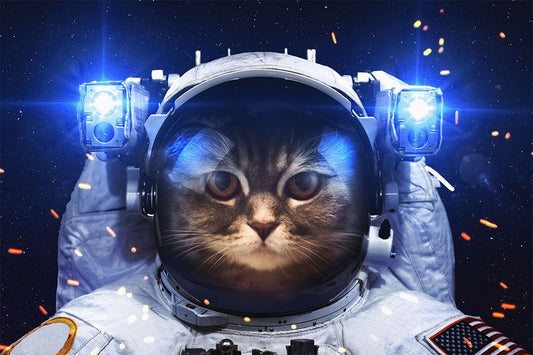Cute Space Cat Astronaut Funny Picture Print Jigsaw Puzzle