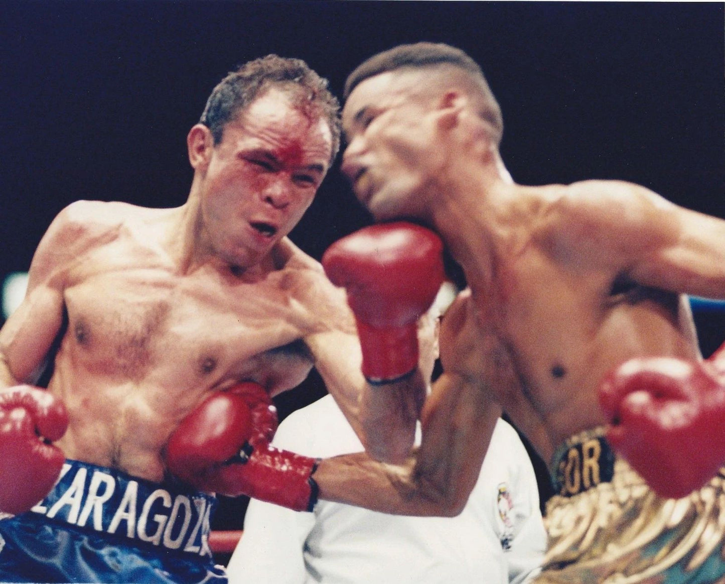 Daniel Zaragoza Photo Boxing Picture Action 300 Piece Jigsaw Puzzle