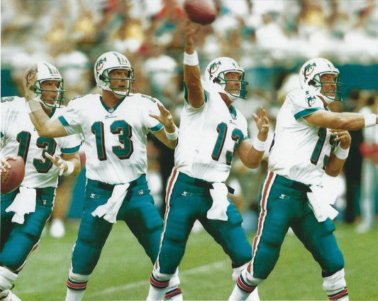 Dan Marino Magnet Miami Dolphins Nfl Football Picture Motion