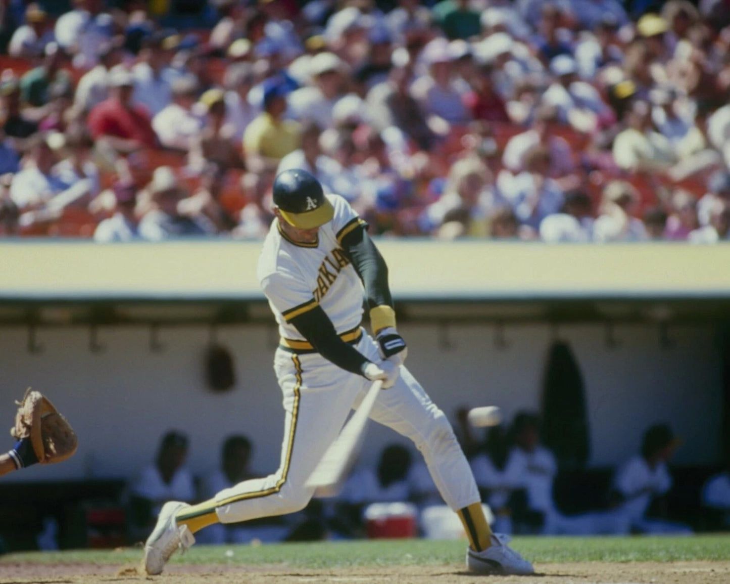 Dave Kingman Photo Oakland A'S Baseball Picture Mlb