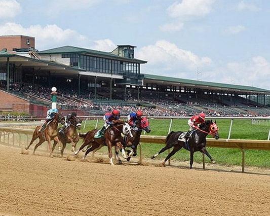 Delaware Park Racetrack Keychain Horse Racing Picture Race Course
