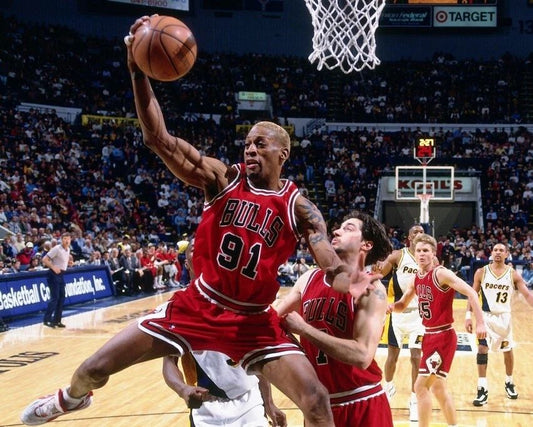 Dennis Rodman Magnet Chicago Bulls Basketball Picture Nba