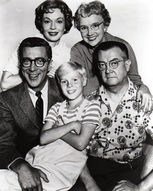 Dennis The Menace Magnet Tv Picture Cast