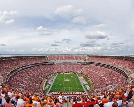 Denny Stadium Glossy Keychain Field Print Alabama Crimson Tide Keychain