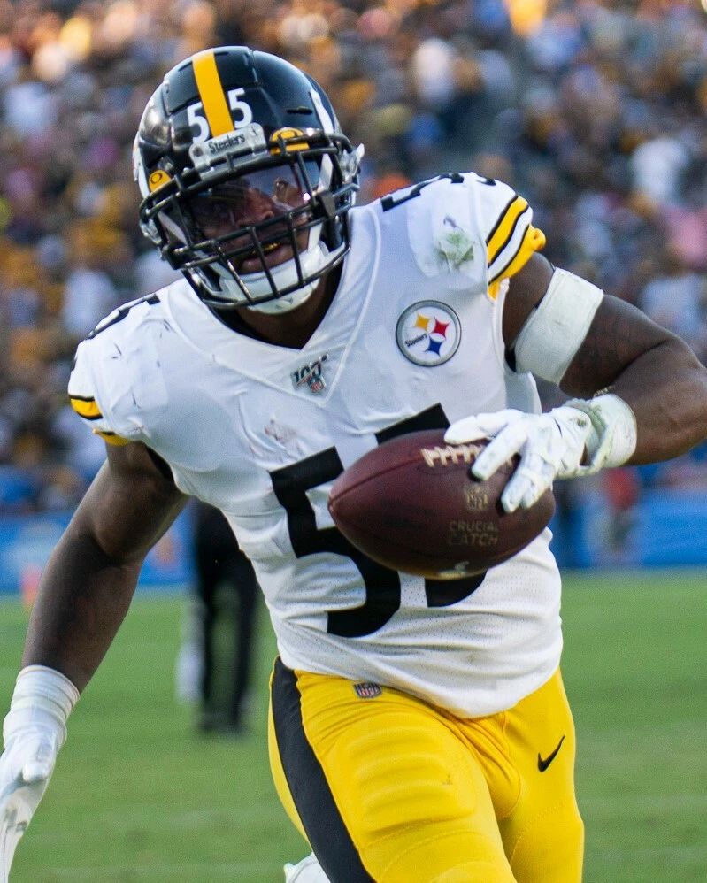 Devin Bush Magnet Pittsburgh Steelers Picture Nfl Football Close Up