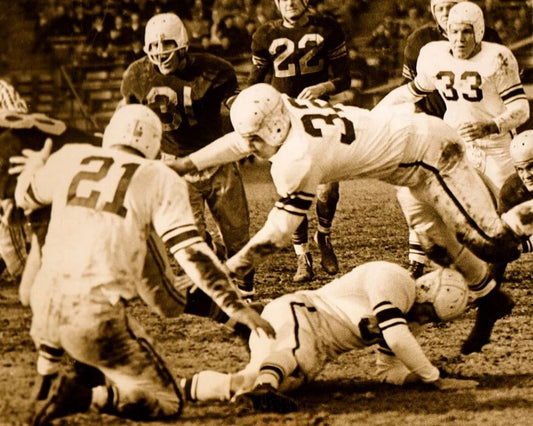 Dick Bassi Photo San Francisco 49Ers Football Picture Niners Nfl