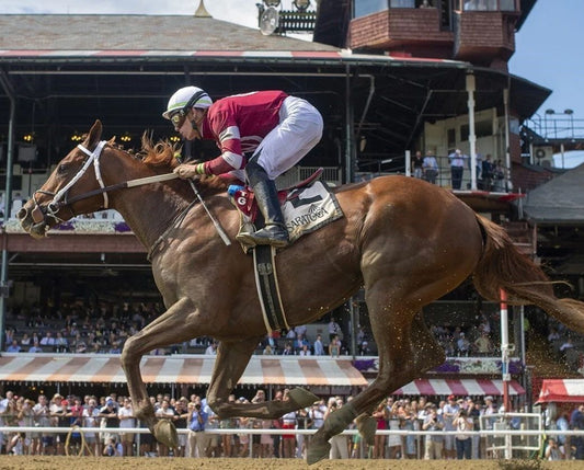Disarm Keychain Horse Racing Picture