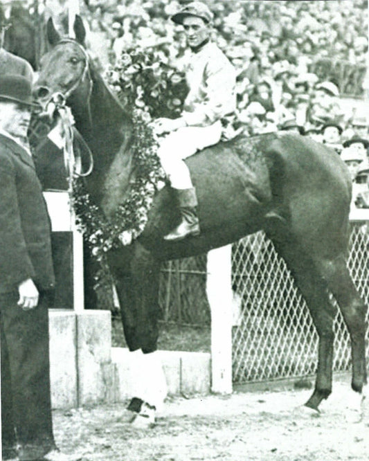 Donrail Magnet Horse Racing Picture Jockey Roscoe Goose