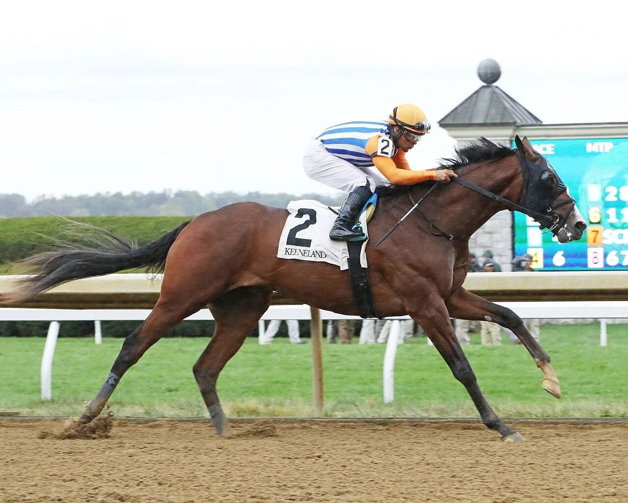 Dornoch Magnet Horse Racing Picture Jockey