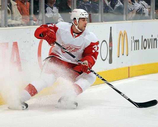 Doug Janik Photo Hockey Detroit Red Wings Picture Game Action