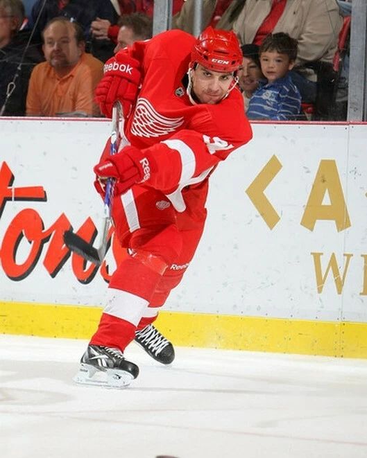 Doug Janik Magnet Hockey Detroit Red Wings Picture