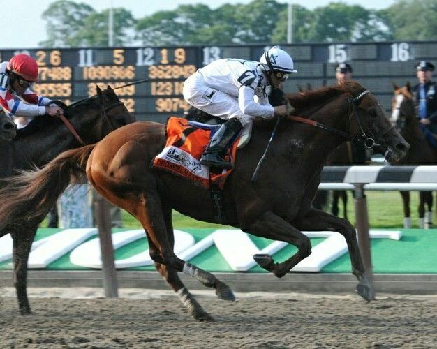 Drosselmeyer Photo Horse Racing Picture Jockey 300 Piece Jigsaw Puzzle