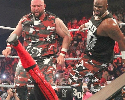 Dudley Boyz Magnet Wrestling Picture Wwe Action