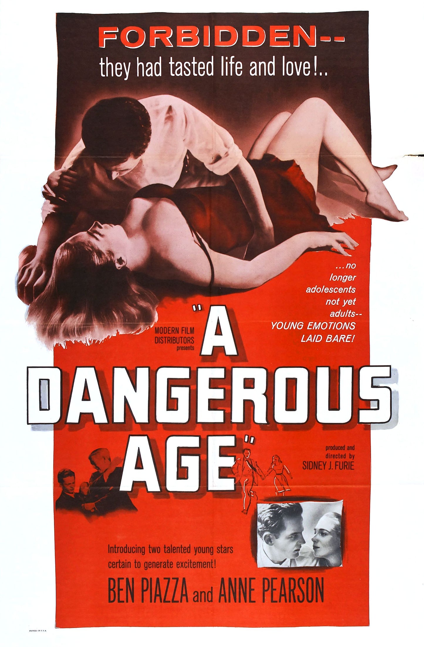 Dangerous Age 01 Movie Magnet