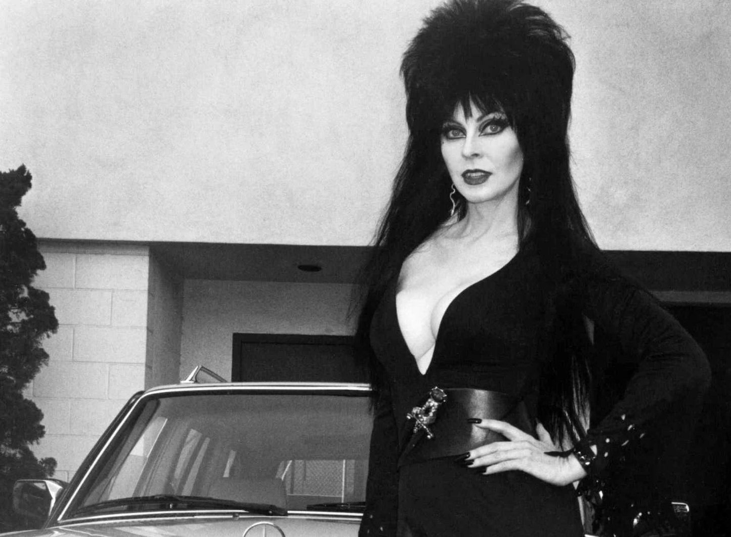 Dark Mistress Elvira Sexy Halloween Horror Movie Icon Picture Magnet
