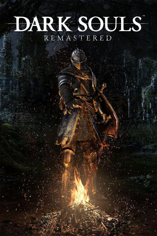 Dark Souls Video Game Role Playing Game Action Jigsaw Puzzle