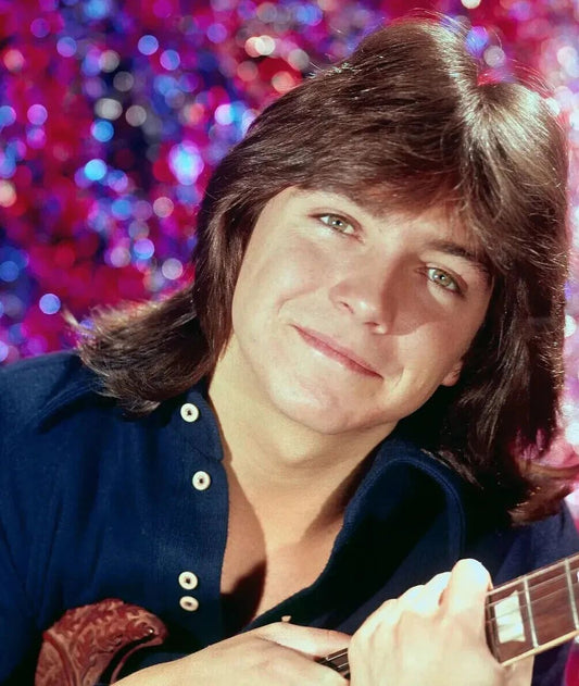 David Cassidy As Keith Partridge Family Tv Show Band Portrait Keychain Print