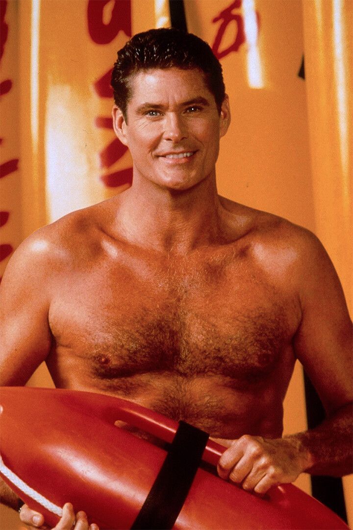 David Hasselhoff Baywatch Captain Mitch Art Print Decor Jigsaw Puzzle