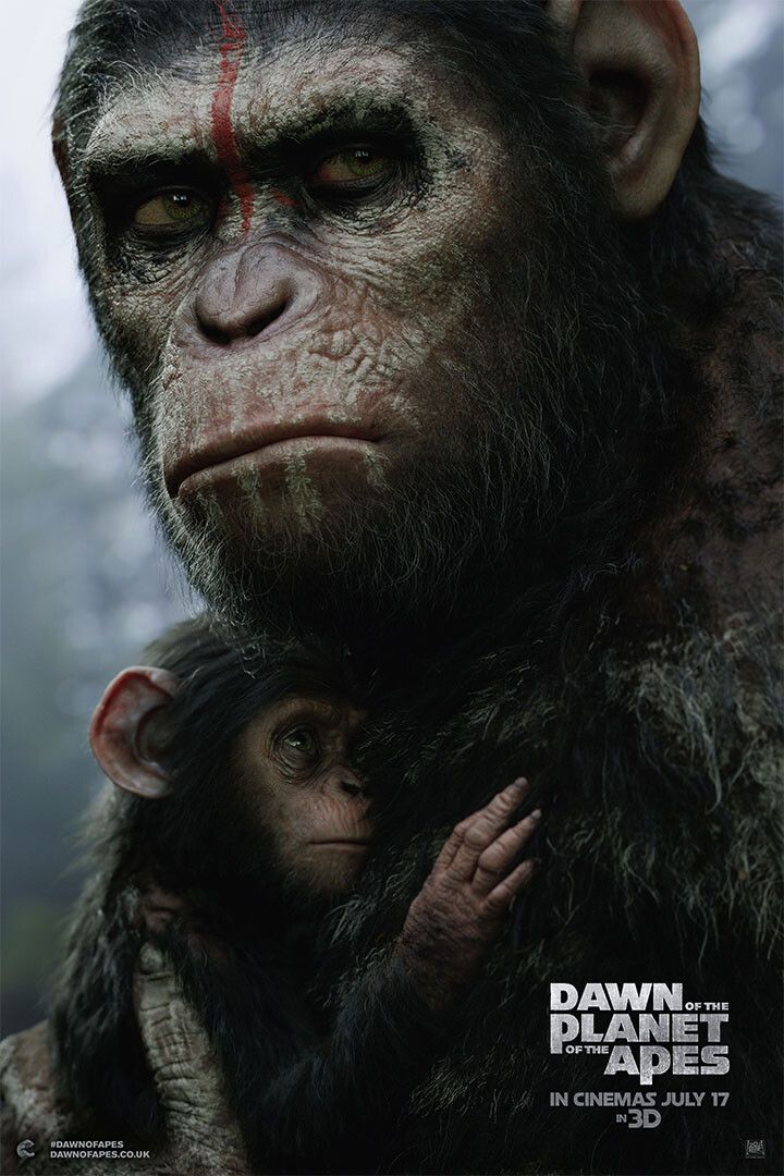 Dawn Of The Planet Of The Apes Wall Indoor Room Outdoor Jigsaw Puzzle Jigsaw Puzzle