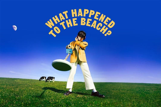 Declan Mckenna What Happened To The Beach Singer Album Jigsaw Puzzle