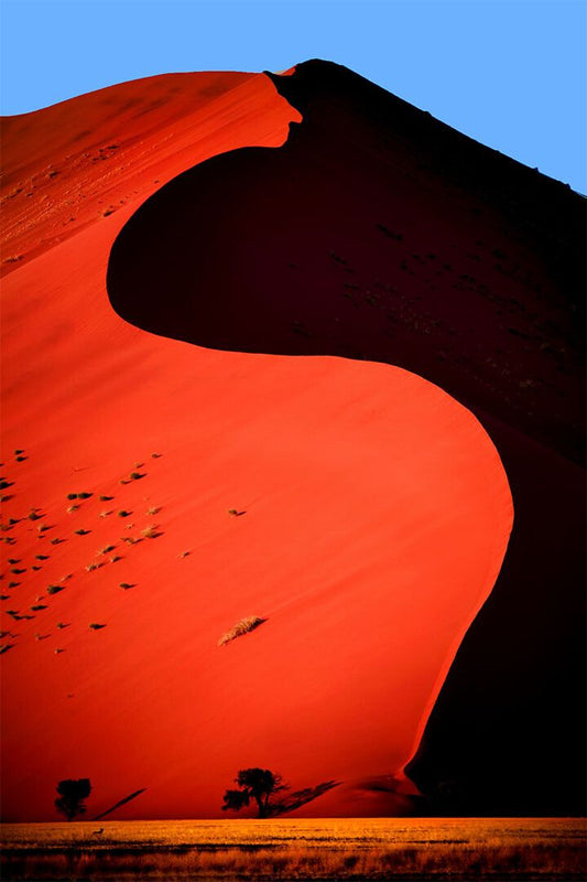 Deserted Field Desert Dunes In Namibia Print Jigsaw Puzzle