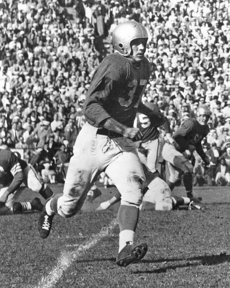 Detroit Lions Doak Walker Glossy Magnet Nfl Football Magnet Hof 86