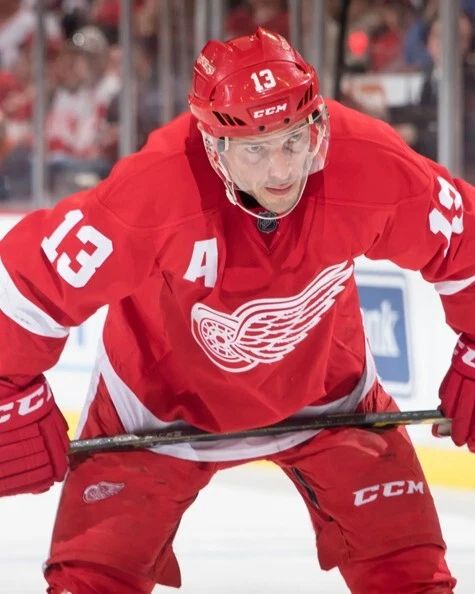 Detroit Red Wings Pavel Datsyuk Glossy Magnet Print Nhl Hockey Magnet