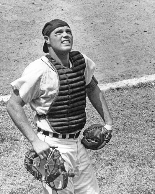 Detroit Tigers Bill Freehan Glossy Photo Print Baseball Poster
