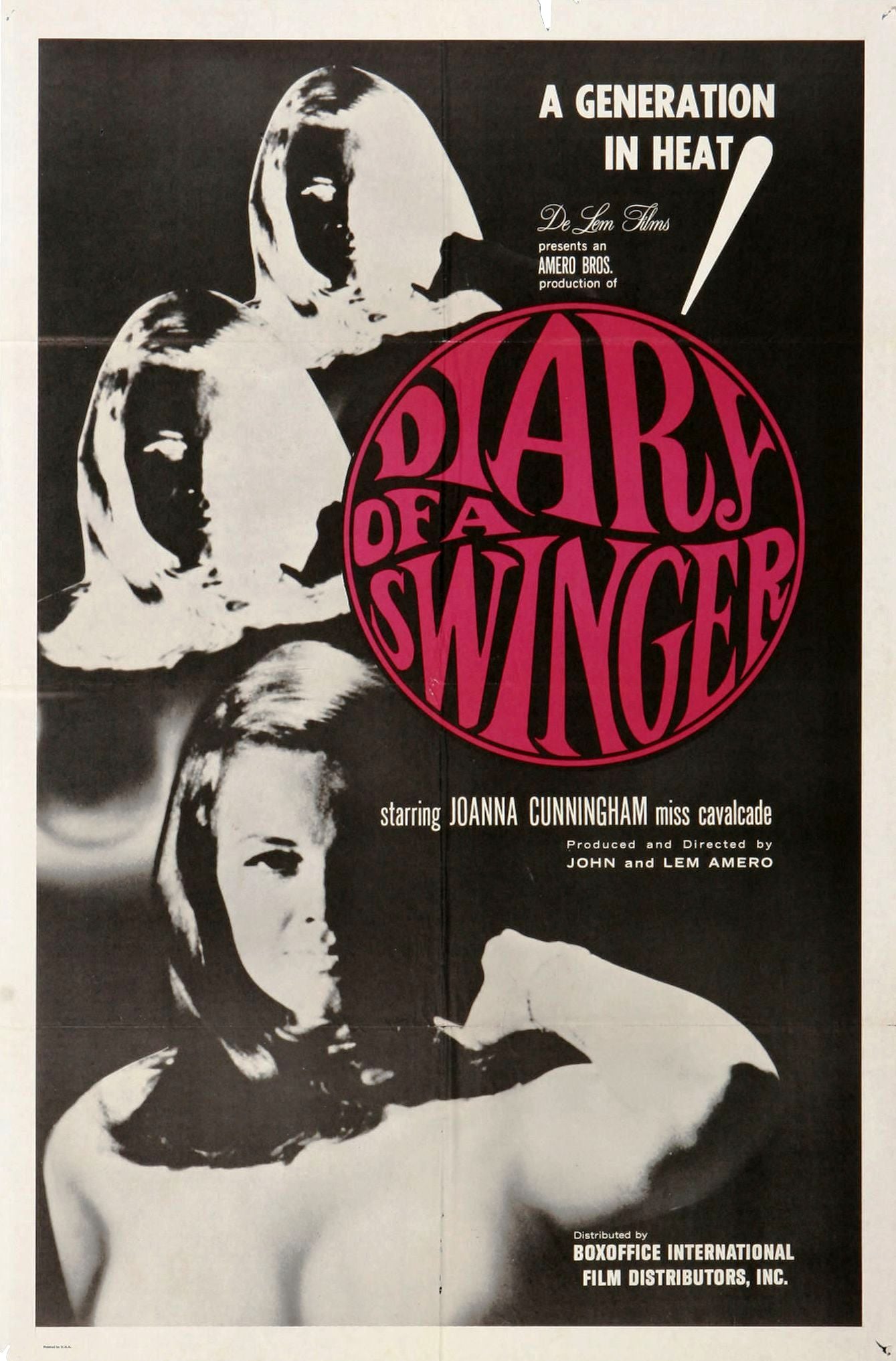 Diary Of Swinger 01 Movie Magnet