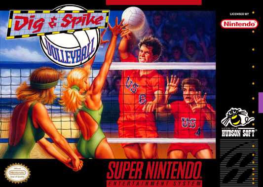 Dig & Spike Volleyball (Usa) Snes Print Poster