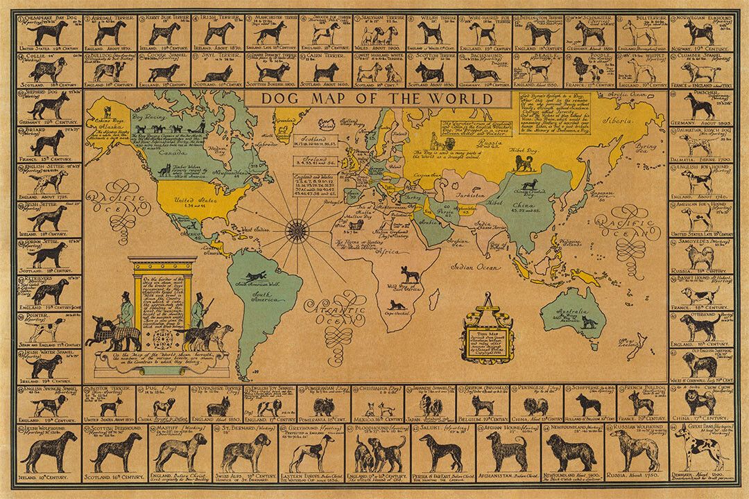 Dog Map Of The World 1933 Vintage Dog Breeds Jigsaw Puzzle