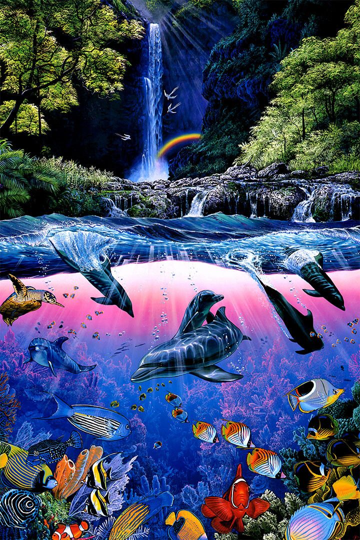 Dolphin Waterfall Animal Colorful Painting Jigsaw Puzzle